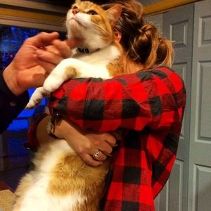 Meet your Posher, Sam